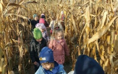 Wycieczka na Farmę Dyń 10