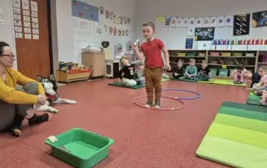 Zajęcia z dogoterapii 2