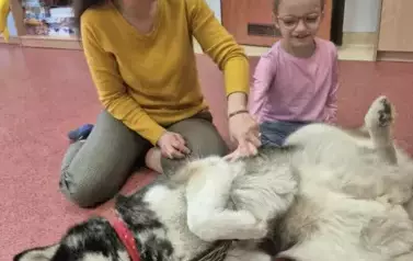 Zajęcia z dogoterapii 9