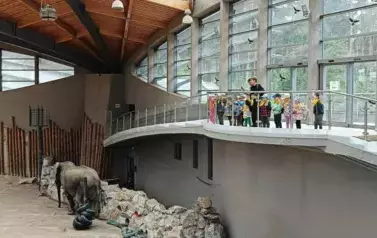 Wycieczka do ZOO w Poznaniu 3
