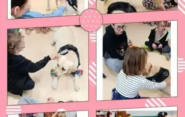 DOGOTERAPIA 2