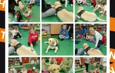 DOGOTERAPIA 4