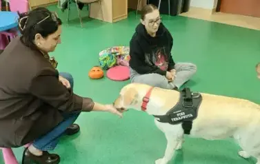 DOGOTERAPIA 7