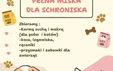 Pełna miska dla schroniska 1