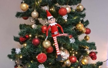 "Elf on the Shelf" 9