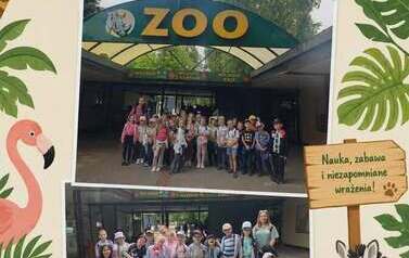 Wycieczka do ZOO w ramach projektu z unii 14