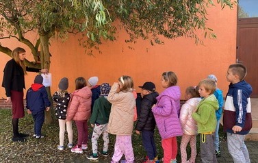 DZIEŃ DRZEWA 16