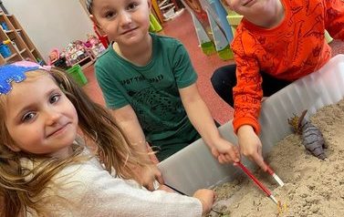 DZIEŃ DINOZAURA 13