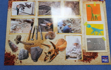 Czym zajmuje się paleontolog? 14