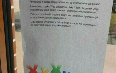 Zajączek szaraczek 5
