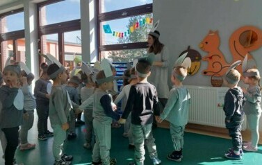 Zajączek szaraczek 6