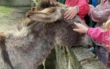 Wycieczka do Ogrodu Zoologicznego 2