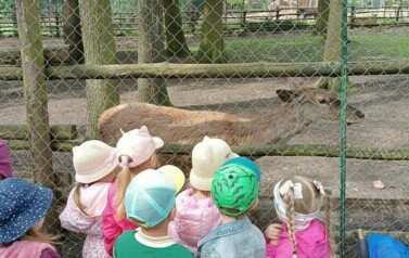 Wycieczka do Ogrodu Zoologicznego 5