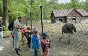 Wycieczka do Ogrodu Zoologicznego 17
