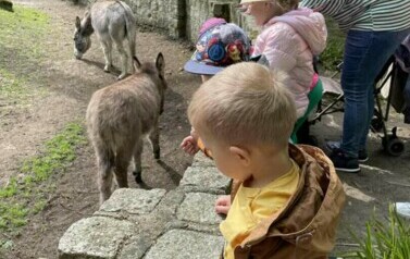 Wycieczka do Ogrodu Zoologicznego 27