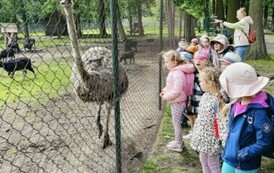 Wycieczka do zoo 5
