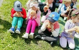 Piknik na placu przedszkolnym 9
