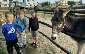 Dzień Pieczonego Ziemniaka24 7