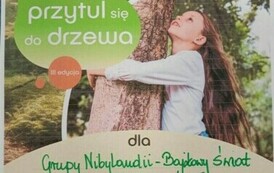 Przytul się do drzewa 6
