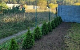 PODZIĘKOWANIEtuje 2