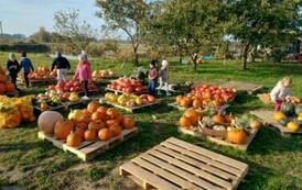 Wycieczka na Farmę Dyń 1