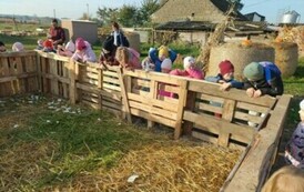 Wycieczka na Farmę Dyń 4