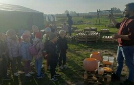 Wycieczka na Farmę Dyń 7