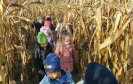 Wycieczka na Farmę Dyń 10