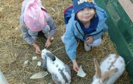 Wycieczka na Farmę Dyń 13