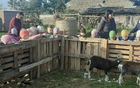 Wycieczka na Farmę Dyń 14