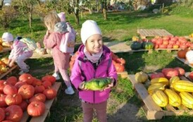 Wycieczka na Farmę Dyń 15