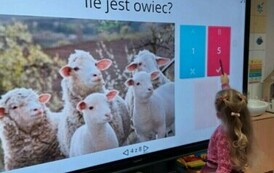 Nowa tablica interaktywna i platforma wordwall 1