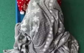DZIEŃ PIŻAMY 21