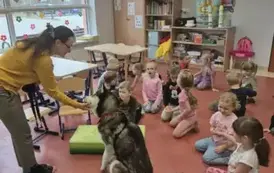 Zajęcia z dogoterapii 1