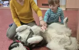 Zajęcia z dogoterapii 8