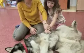 Zajęcia z dogoterapii 12