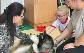 Zajęcia z dogoterapii 13