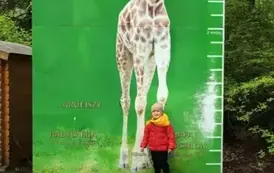 Wycieczka do ZOO w Poznaniu 1