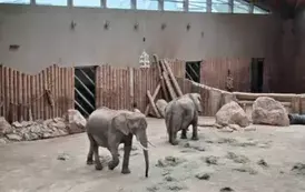 Wycieczka do ZOO w Poznaniu 2