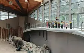 Wycieczka do ZOO w Poznaniu 3