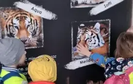 Wycieczka do ZOO w Poznaniu 6
