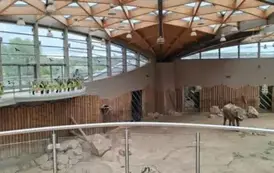 Wycieczka do ZOO w Poznaniu 13