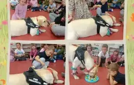 DOGOTERAPIA 1