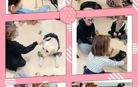 DOGOTERAPIA 2