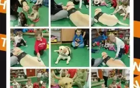 DOGOTERAPIA 4