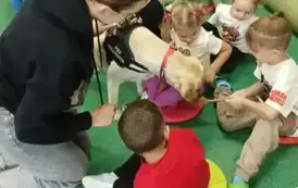 DOGOTERAPIA 6