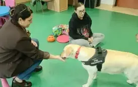DOGOTERAPIA 7