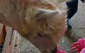 Wycieczka do agroturytyki Gawra 1