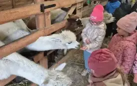 Wycieczka do agroturytyki Gawra 4