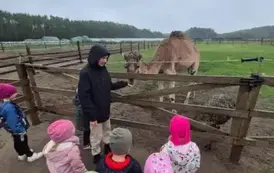 Wycieczka do agroturytyki Gawra 12